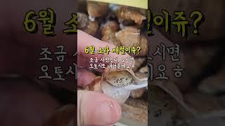 오늘은 새소라!!!