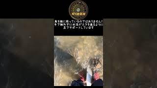 朱鞠内湖　イトウ2本目　55cm 2025　5/21　Hokkaido　FlyFishing　Lake Shumarinai　※朱鞠内湖は遊漁料が掛かります！