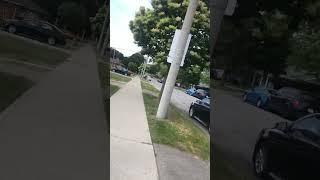  Welcome to the streets of Canada - where urban elegance meets pristine nature!I