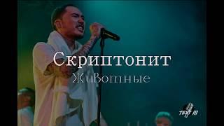 СКРИПТОНИТ -  Животные (Текст песни)