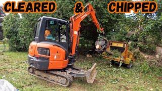 Clearing the Chaos: Overgrown Bushes & Storm-Damaged Trees Removed