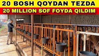 20 BOSH QOCHQORDA 20 MILLION DAROMAD QILISH VA BOQISH SIRLARI