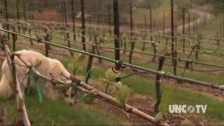 McRitchie Winery & Ciderworks | NC Weekend | UNC-TV