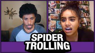 SCARING OMEGLE with SPIDERS