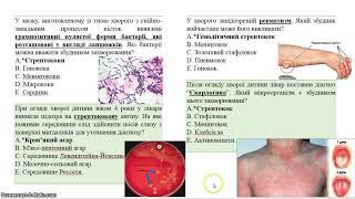 1  Патогенные кокки