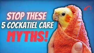 5 Cockatiel Care Myths You NEED to Stop Doing! (This Could Be Hurting Your Bird!)