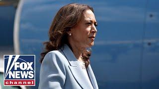 Democrats admit this could 'doom' Kamala Harris