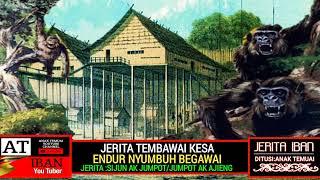 JERITA TEMBAWAI KESA#Jeritatuai