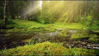 Bright World • Beautiful Relaxation Piano Guitar Music • Awe Inspiring Video • Stress Relief