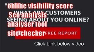 online visibility score Seo analysis analyser tool site checker