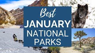 Best National Parks to Visit in January (according to a former park ranger!)