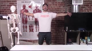 17-Actions of the shoulder joint - Show Up Fitness