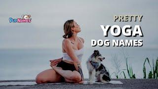 30+ Beautiful YOGA DOG NAMES (with Meanings!) | PupNames.com