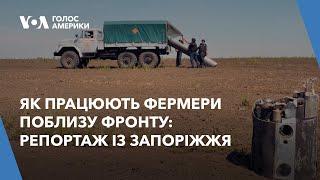 Як працюють фермери поблизу фронту – репортаж із Запоріжжя