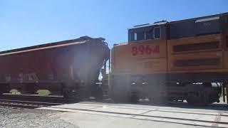 100 Hoppers of Corn in Minidoka part 1 of 2
