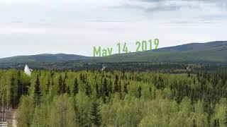 Green Up in Fairbanks Alaska - UAF Geophysical Institute