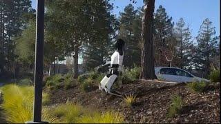 Tesla Optimus Robot Achieves What Boston Dynamics Did 8 Years Ago