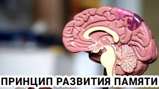 Развитие музыкального мышления