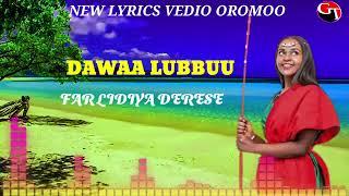LIDIYA DERESE {DAWAA LUBBUU} NEW OROMO LYRICS 2014360p
