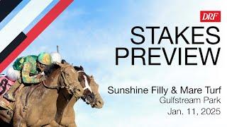 Sunshine Filly & Mare Turf Preview | January 11, 2025