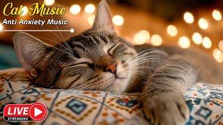 Relaxing Cat Music for Anxiety: Calming Melodies to Keep Your Feline Friend Stress-Free and Calm 