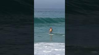 Pro Skimboarder defies Laws of Physics! #waveriding #skimboarding #watersport #shorebreak #weird