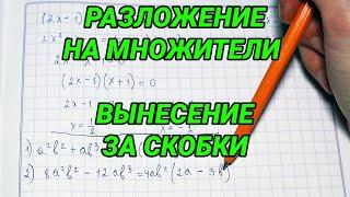 Разложение многочлена на множители. Вынесение общего множителя за скобки - 7 класс алгебра