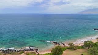 Kihei Shores E 308