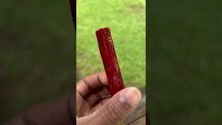 Meat stick vs pellet gun #experiment  #umarexairguns #airgunning #shootingsport #nature #satisfying