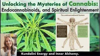 Cannabis and the Sacred Secretion | Kundalini Energy - Endocannabinoid System