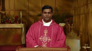 Sunday Catholic Mass Today | Daily TV Mass, Sunday June 8, 2025