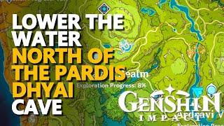 Lower the water Cave north of the Pardis Dhyai Genshin Impact