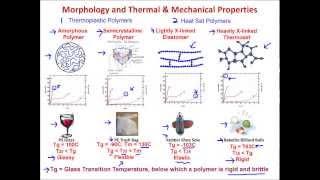 Muddiest Points: Polymers I - Introduction