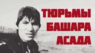 Фарук Шами. Про вопросы о тюрьмах Башара Асада