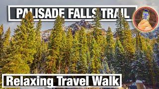 Nature Walks - Palisades Falls Virtual Nature Walk - Snowy Treadmill Trail Hike - City Walks 4K