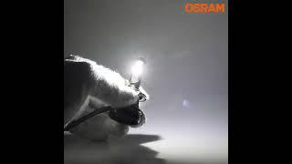 OSRAM H4 H11 H7 Led Bulb H1 9012 HIR2 HB2 HB3 9005 Hb4 9006 Car Lights Faro Led Moto 6000