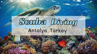 Scuba Diving | Antalya 2022 | Life Changing Experience | Turkey