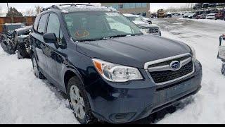 Проверка Subaru Forester / Автоподбор Ижевск