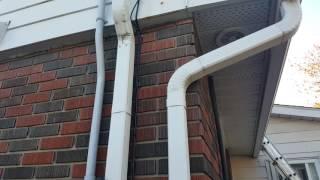 Mice climbing wires to gain access into the attic.