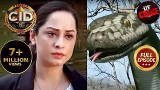 Women Task Force | Purvi Gives A Tough Fight Against An 'Anaconda Man' | CID | 7 March 2023