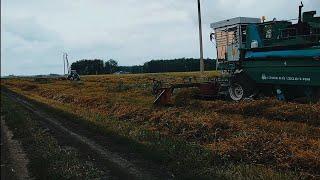 Жатки Жвн и Жвп, какая лучше, горох в волки