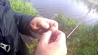 СПИНИНГ река ДУБНА #рыбалка#spinning#fishing