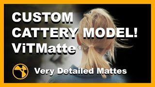 Custom Cattery Model - Create High Detail Mattes With ViTMatte - Nuke