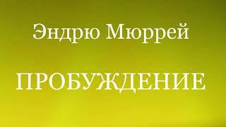 04.ПРОБУЖЕНИЕ. Эндрю Мюррей. Христианская аудиокнига.