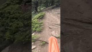 Little  hill climb in Bangtails #beta #dirtbikes #throttletherapy