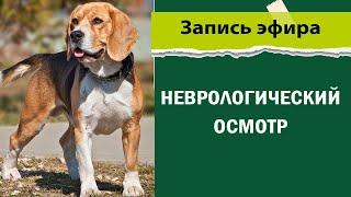 Повышение квалификации ветеринаров