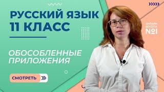 Обособленные приложения. Видеоурок 11. Русский язык 11 класс