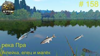 река Пра: уклейка, елец и малёк. # 158.  Прохождение Atom Fishing II