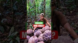 Amazon Jungle Was MAN-MADE? Joe Rogan & Graham Hancock Drop Truth On Ancient Civilization #history