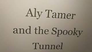 Aly Tamer and the Spooky Tunnel Scene in 2004 Mohammed Amr